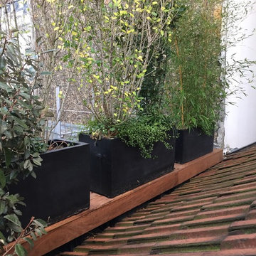 Extension de la chambre