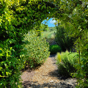 Pourrières - Un jardin pour reçevoir