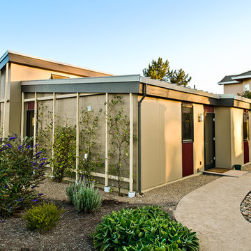The Darling Homes