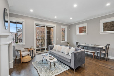Transitional light wood floor and brown floor living room photo in Chicago with gray walls, a standard fireplace and a stone fireplace