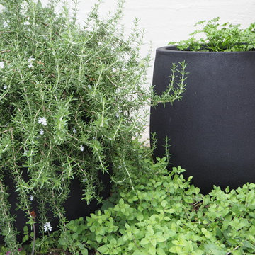 Albany Creek Garden