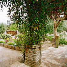Trellises