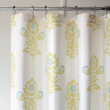 shower curtain
