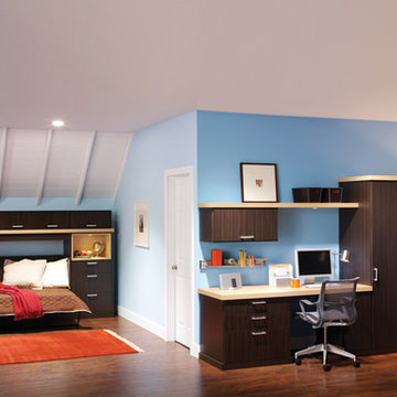 Home Organization Cabinets & Solutions for Multi Purpose Rooms