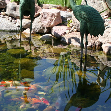 Koi Ponds and Water Gardens