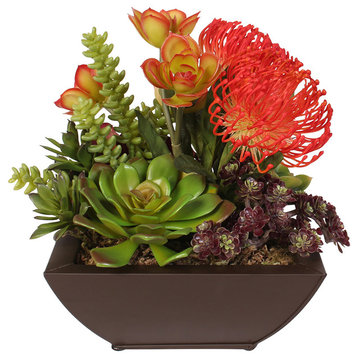 Contemporary Tropical Succulent Arrangement in a Metal Container