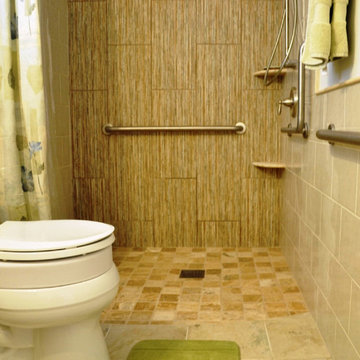 Level entry shower