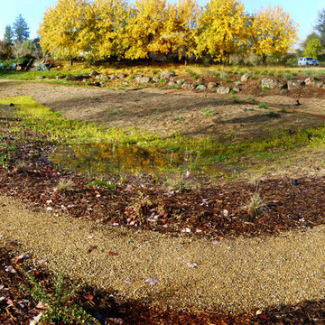 sebastopol rain garden & meadow