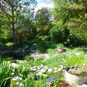 Demonstration Ponds