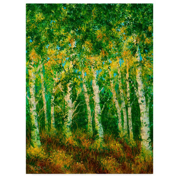 Bonnie B Cook 'Birch Trees In Frame' Canvas Art