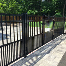 Dog Fence