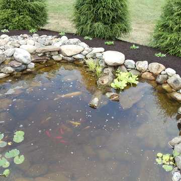 Our Work