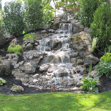 Pond Paradise Designs assorted photos