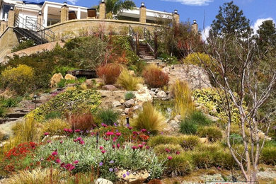 This is an example of a large mediterranean sloped xeriscape in Los Angeles.