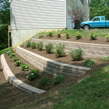 Landscape Ideas