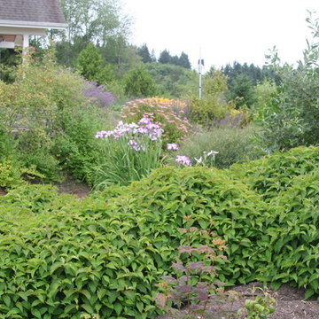 Subsistence Farm, Port Orchard, WA