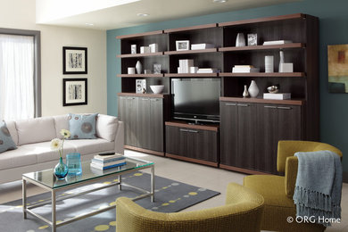 Example of a home theater design in Chicago