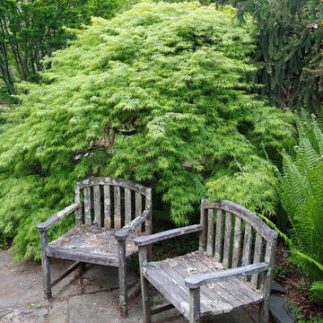 Warrenton garden