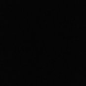 Andrea Carrel's photo