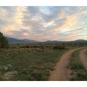 Janice Howieson's photo