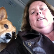 hdrichardson's photo