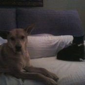 Lisa Treman's photo