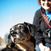 Teresa Wilhelmsen's photo
