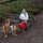linda_dubov_lehr