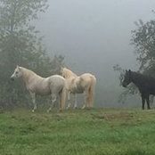 Foto von Gette Geor