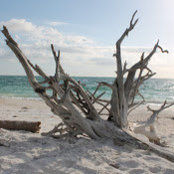 Leigh Pennington's photo