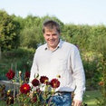 Alasdair Cameron Design's profile photo