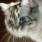 Susan Turner's photo