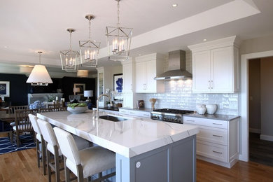 Kitchen - transitional kitchen idea in Boston