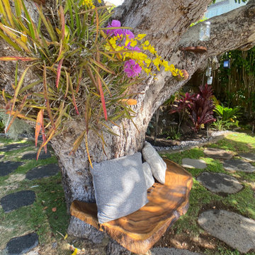 100 Year Old Tree Bench