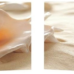 Sea Shell - Artwork