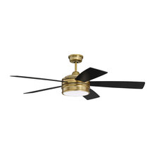 Ceiling fans