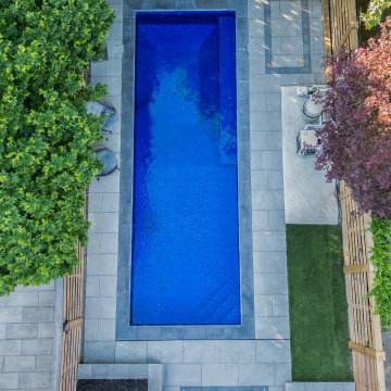 Modern Rectangular Swimming Pool & Backyard Renovation