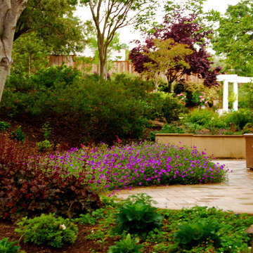 Mediterranean Estate Garden