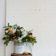 plants