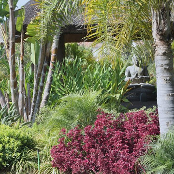 Jardín Africano Marbella Hill Club