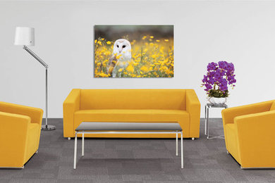 Living room - modern living room idea in San Francisco
