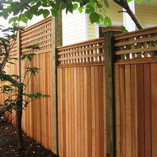 Privacy Fencing