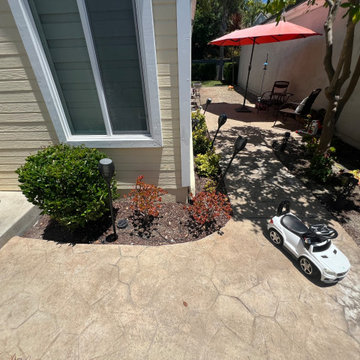 Before Picture