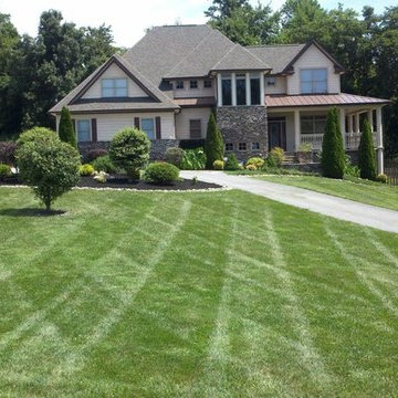 Our Work