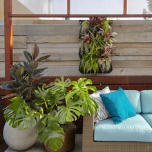 privacy screens