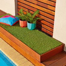 Back garden