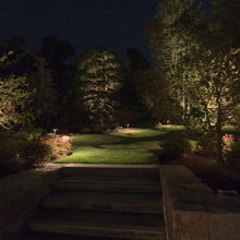 light front yard