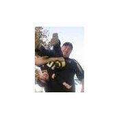 Stephen Veltrop's photo