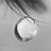 Marji Mertz's photo