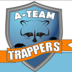 A Team Trappers